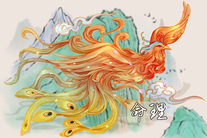 择吉老黄历皇历 择吉黄历 黄历择吉